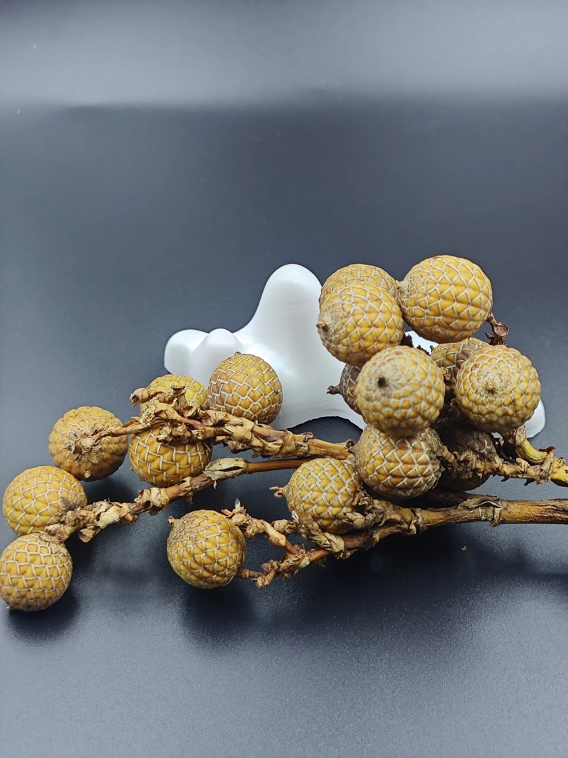 星月菩提原果 优质选择值得拥有