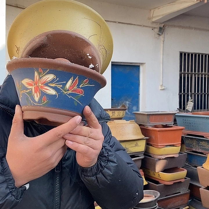 紫砂花盆紫砂艺术