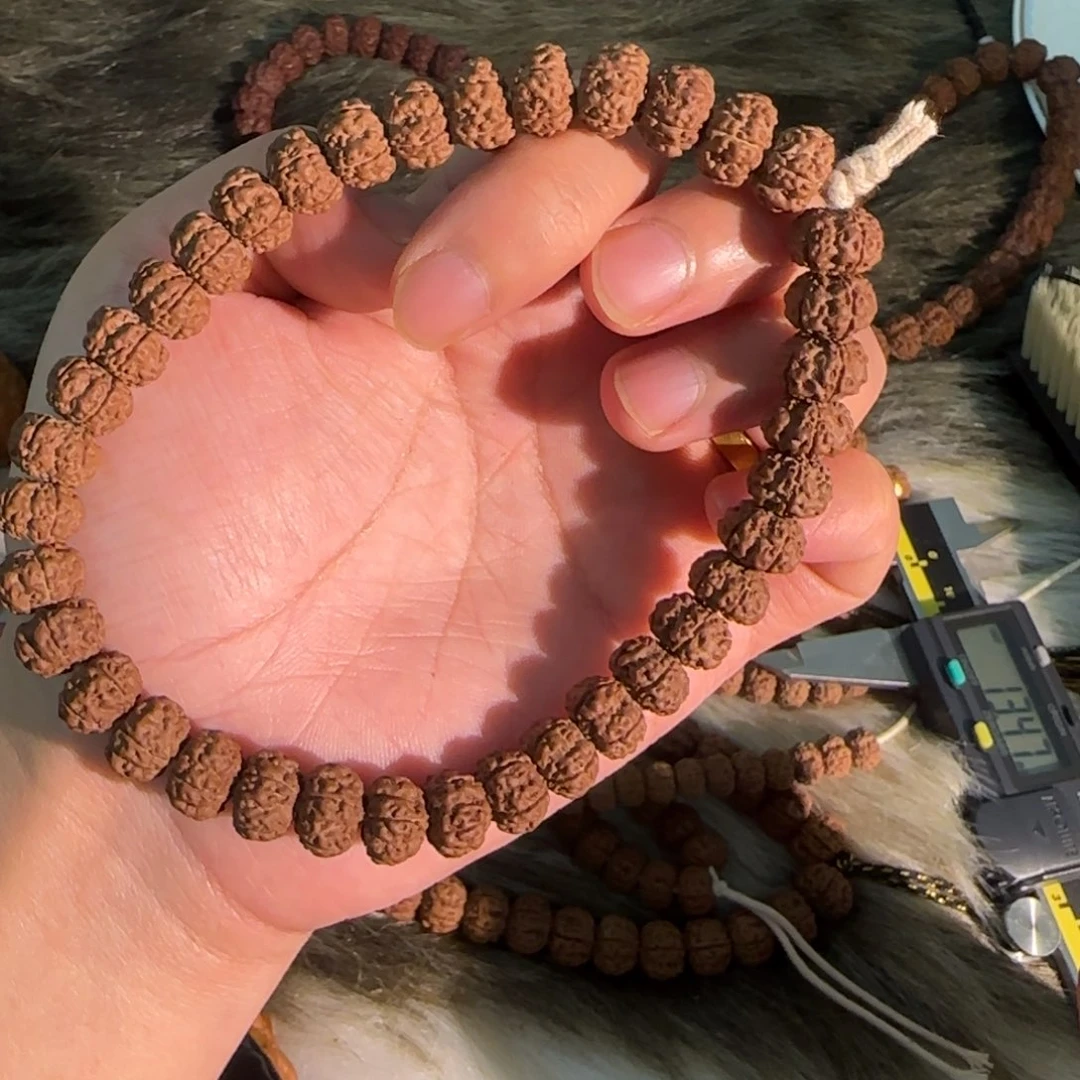 吊坠龙脊菩提特快平细手持