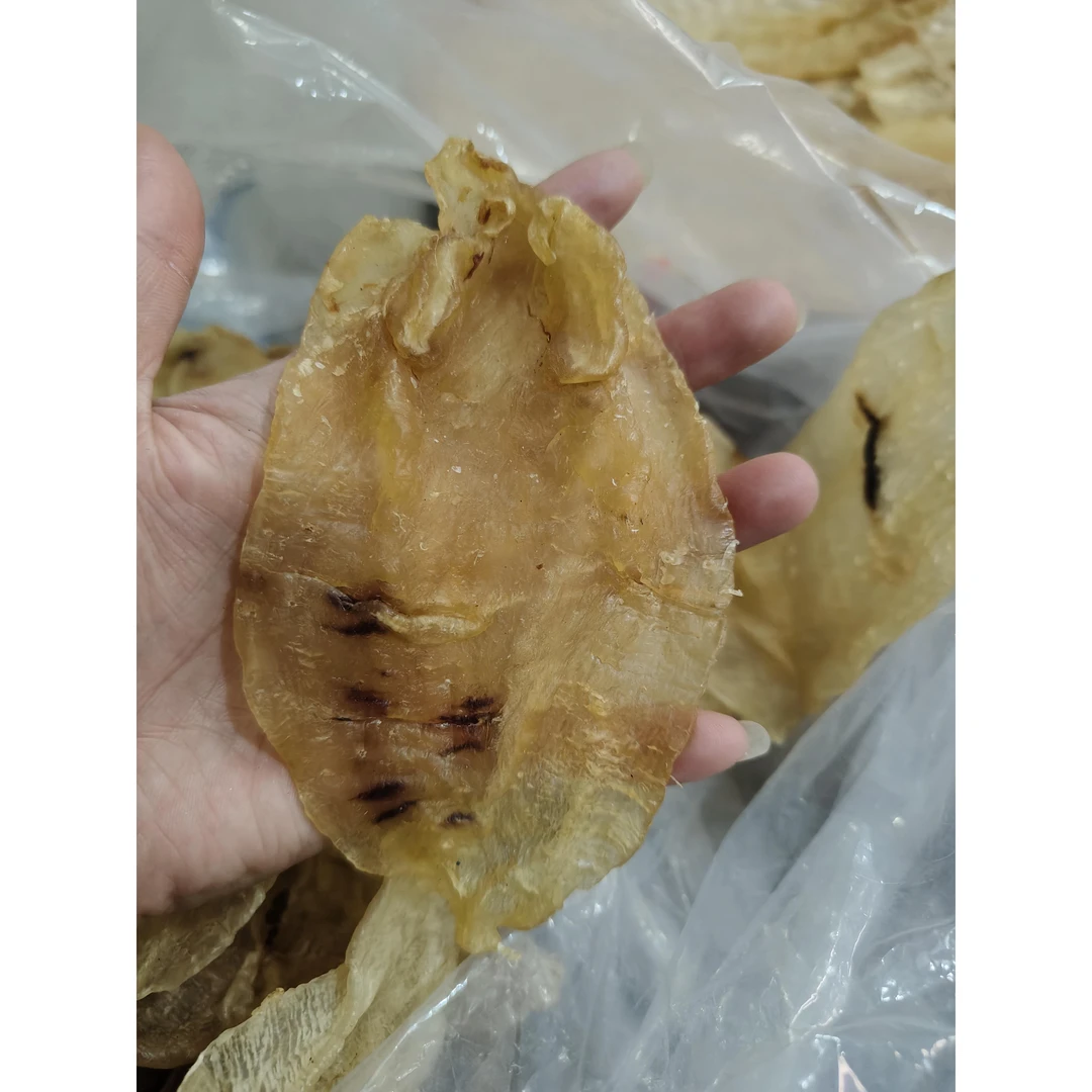 北海母胶深海野生滋补煲汤必备花胶鱼胶