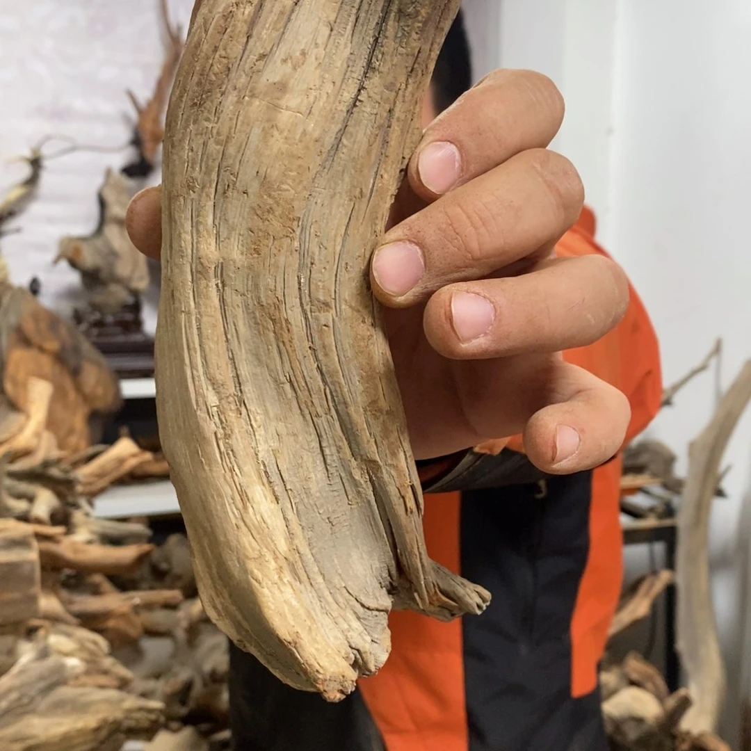 柏木古**香我们都是好孩子