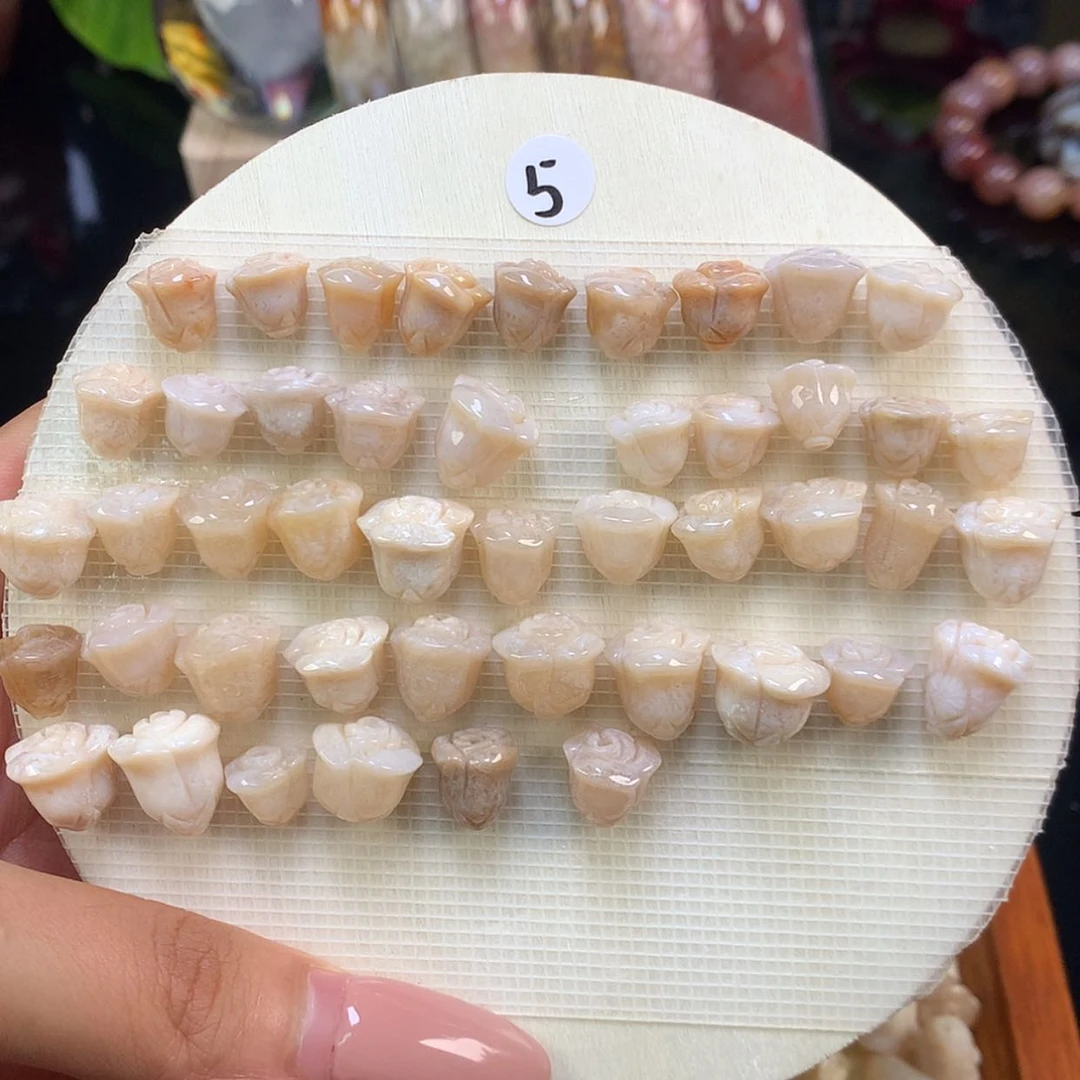 【闪购商品】颈饰未镶嵌硅化珊瑚（珊瑚玉）4号 5元/颗 可挑