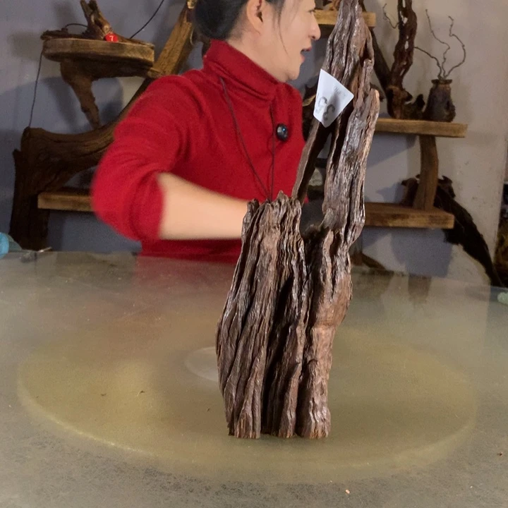 一***胡天然的云南紫柚木会黄水