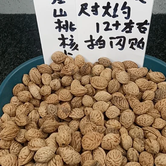 鑫***动吊坠桃核野生山桃核