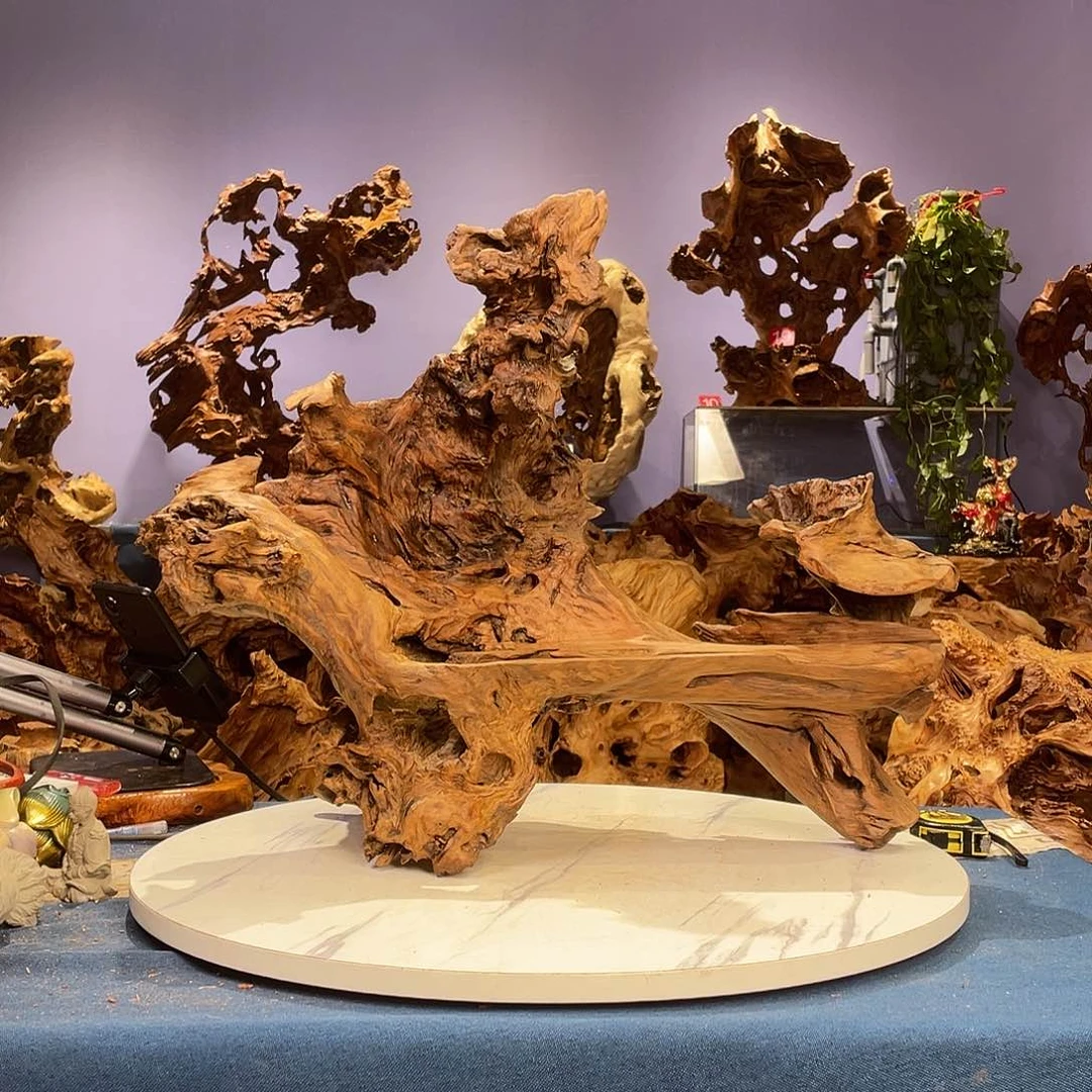 香榧木?****?123344553255446