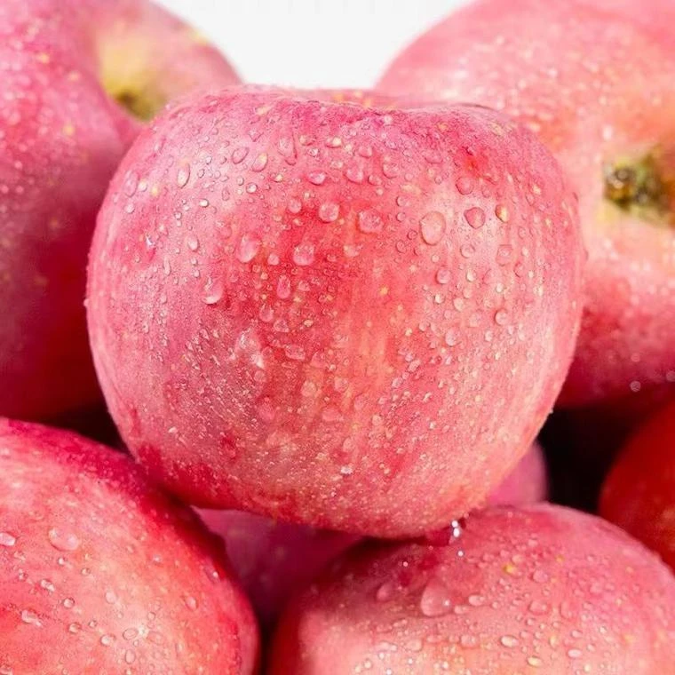 正宗陕西洛川红富士苹果