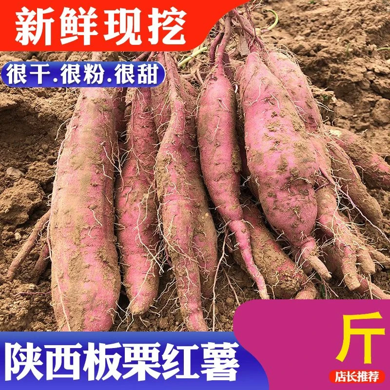 陕西板栗红薯干面粉甜