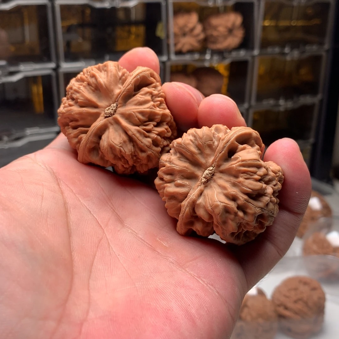 T***m吊坠桃核大粗筋666888