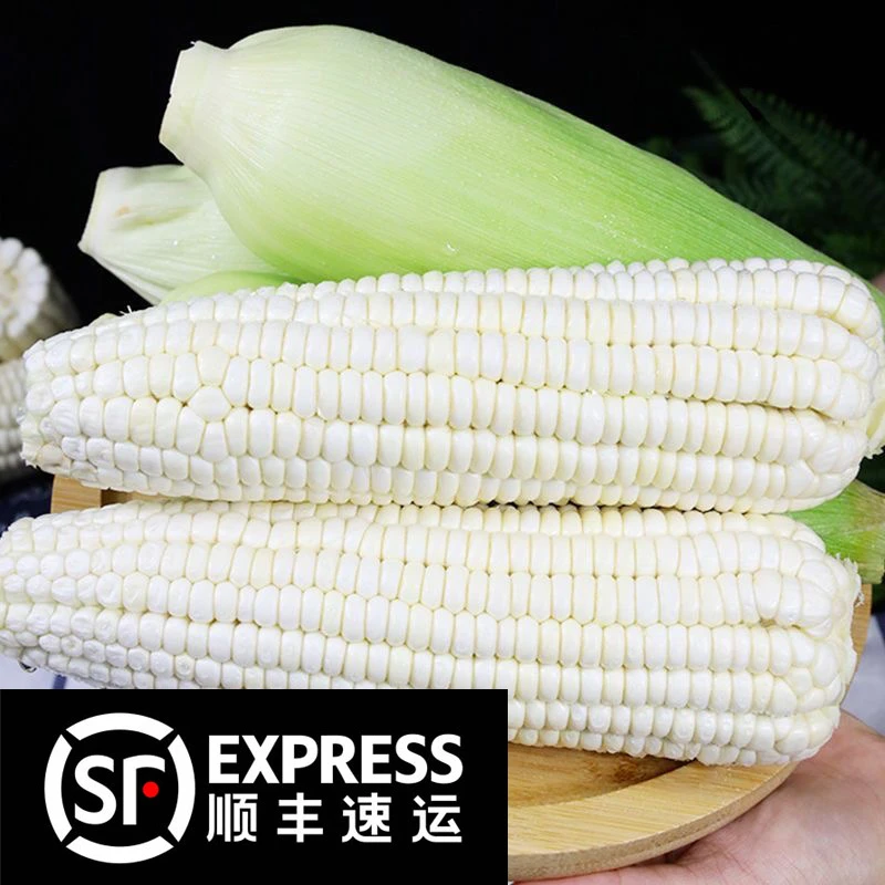 广西新鲜白糯玉米5斤装鸡腿白糯玉米广西壮族自治区