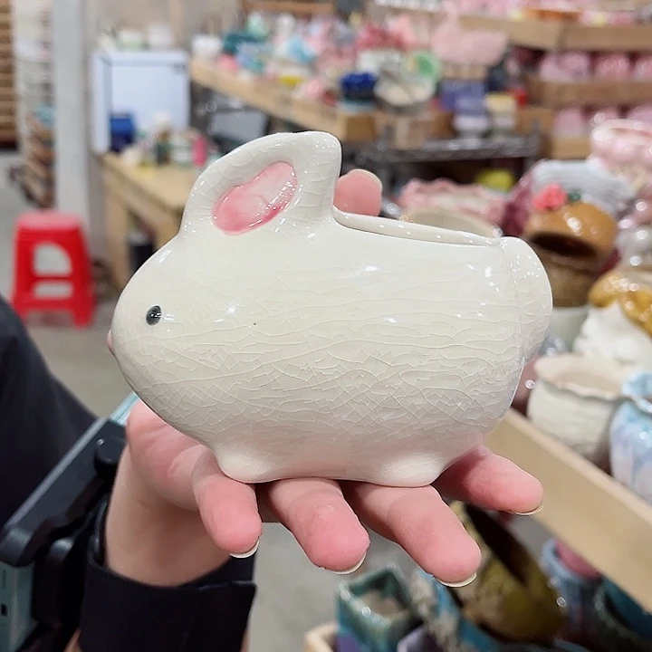 花盆有孔！凑满10米包由！