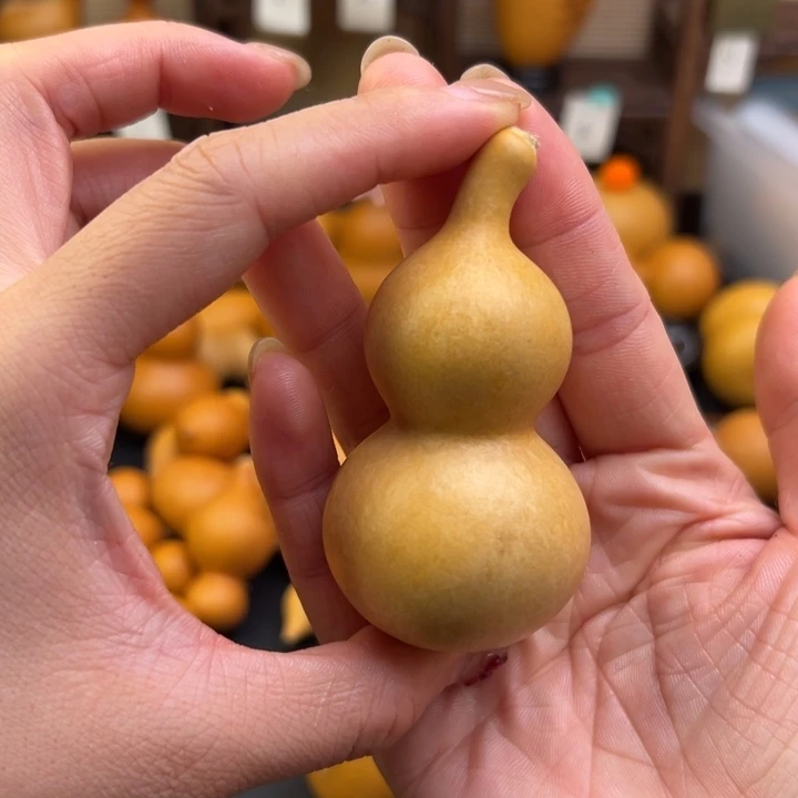 铁*哥葫芦葫芦葫芦葫芦葫芦