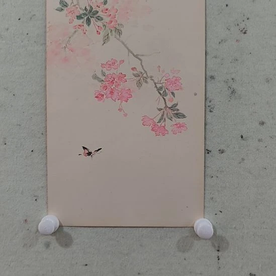 国画中国画花鸟画