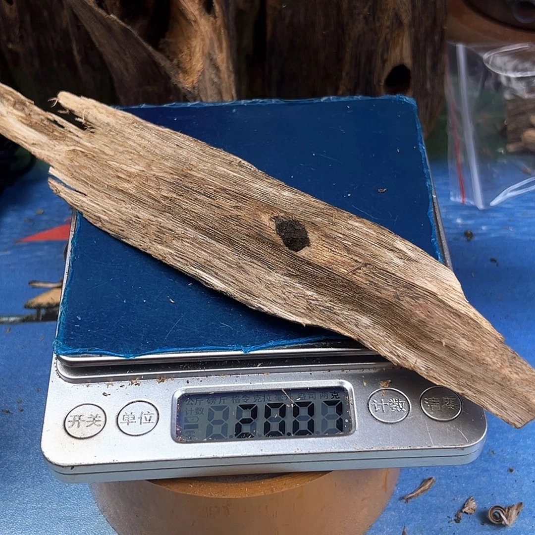 木质绿奇楠虫漏金沙叶20克