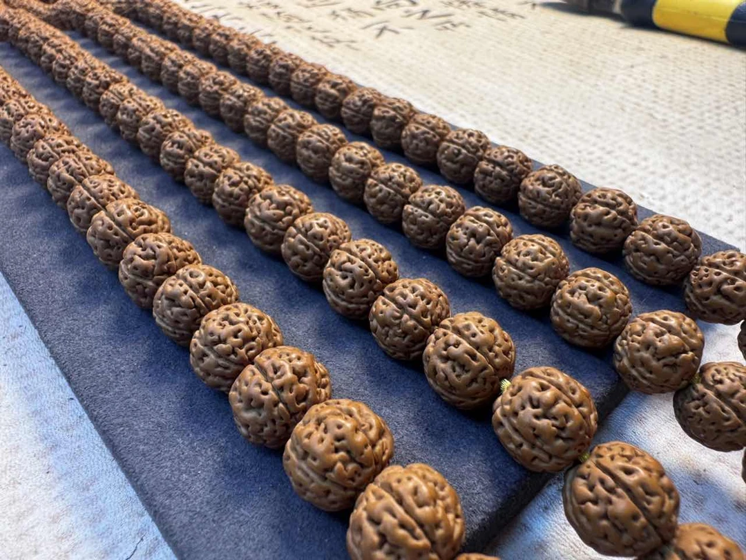 9012国宝级天价跳跳龙尺寸9-12