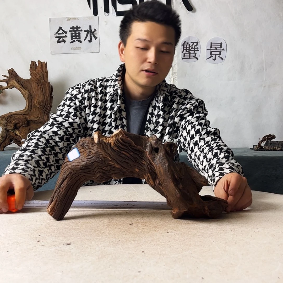 沉木造景爬宠造景