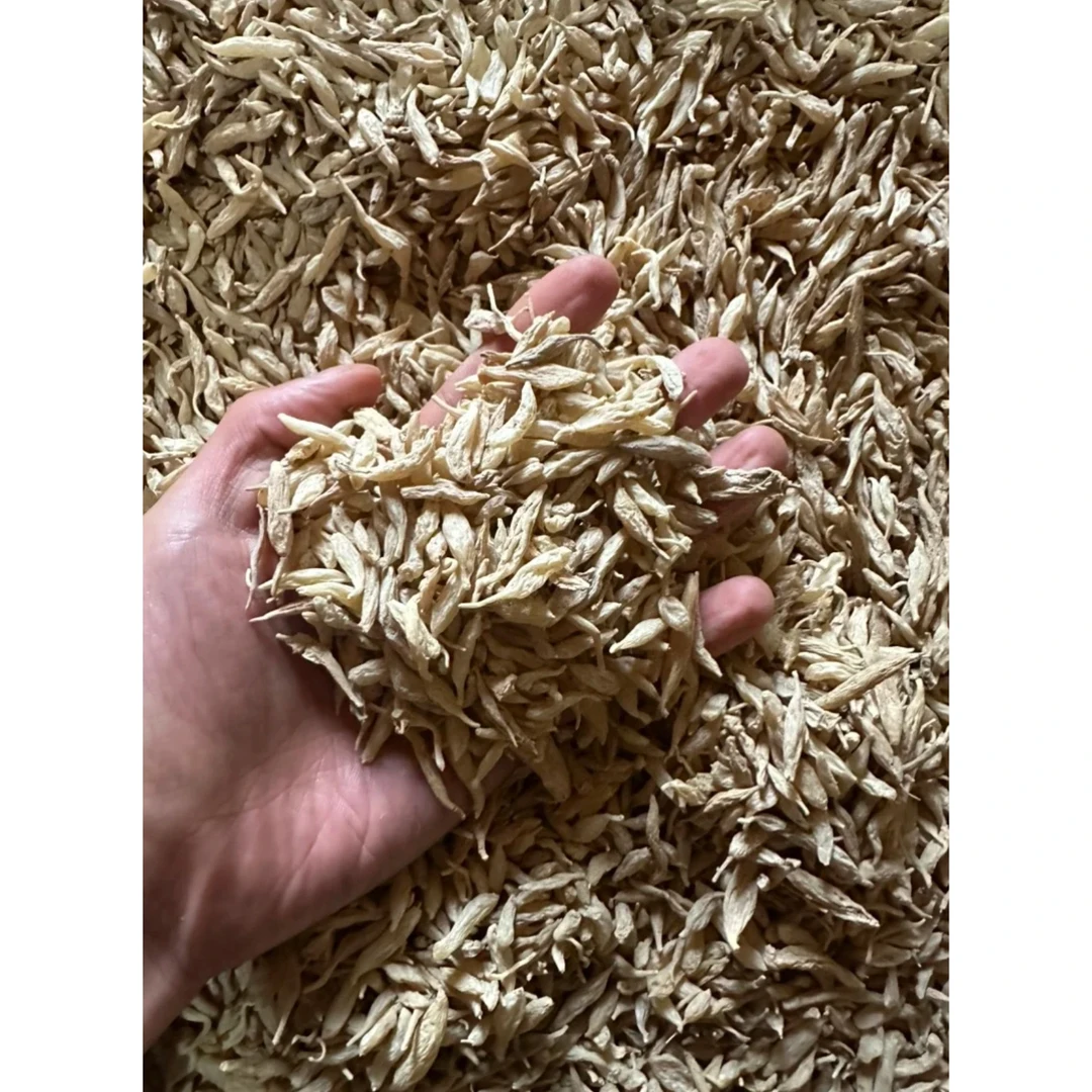新农人青青-麦冬