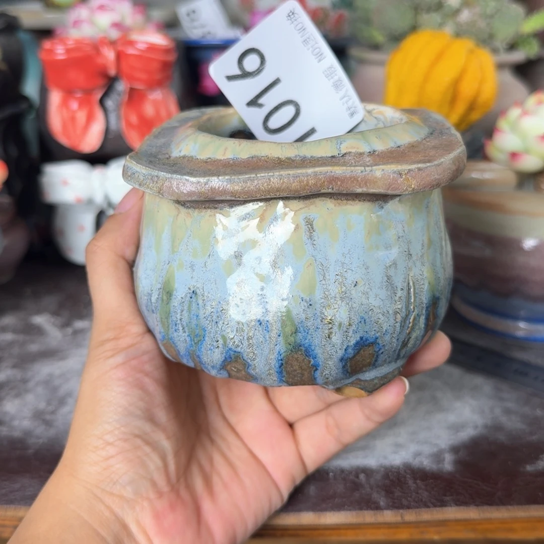 重庆小燕子欢迎大家016