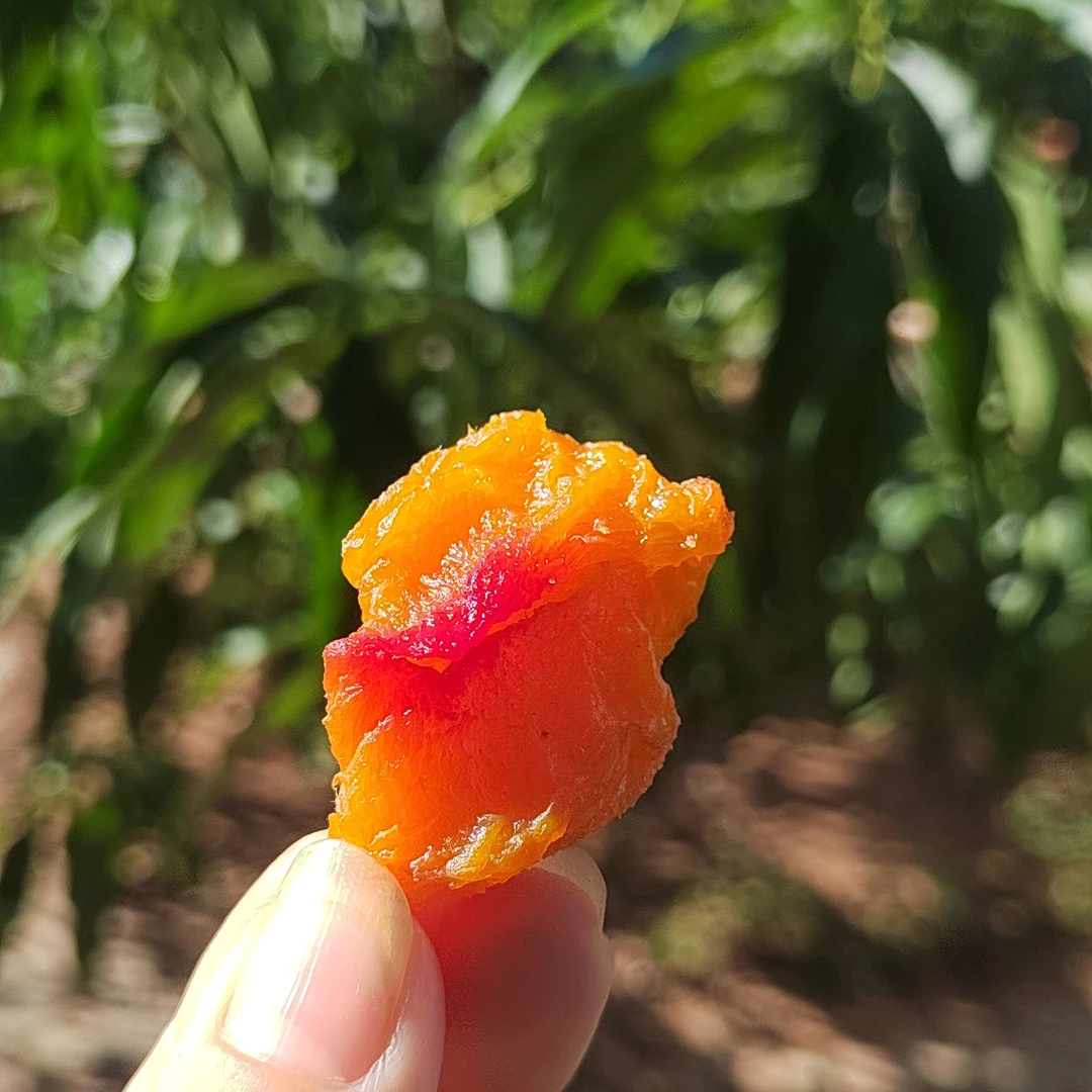 攸县特产美味黄桃干