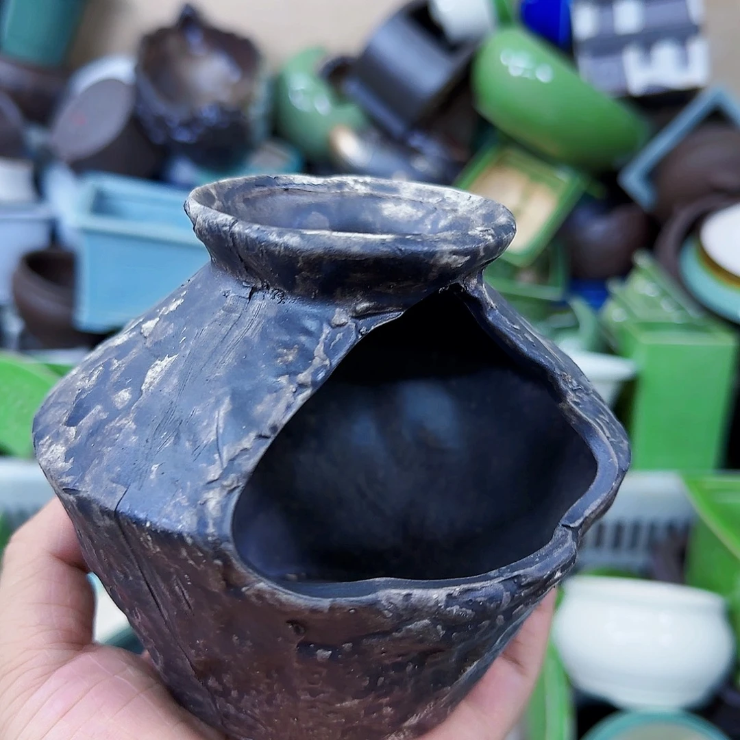 陶瓷花盆特价上新