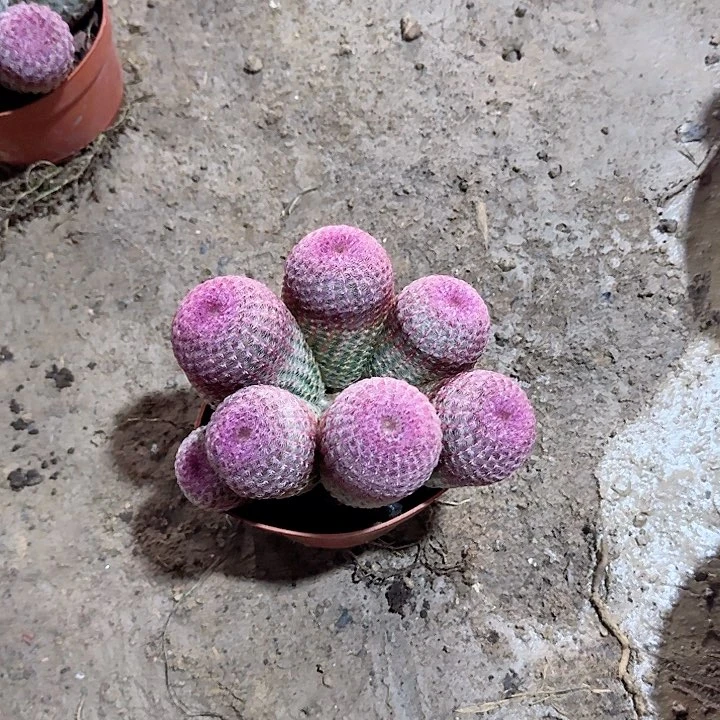 蓉****哈哈哈哈哈哈哈哈哈哈