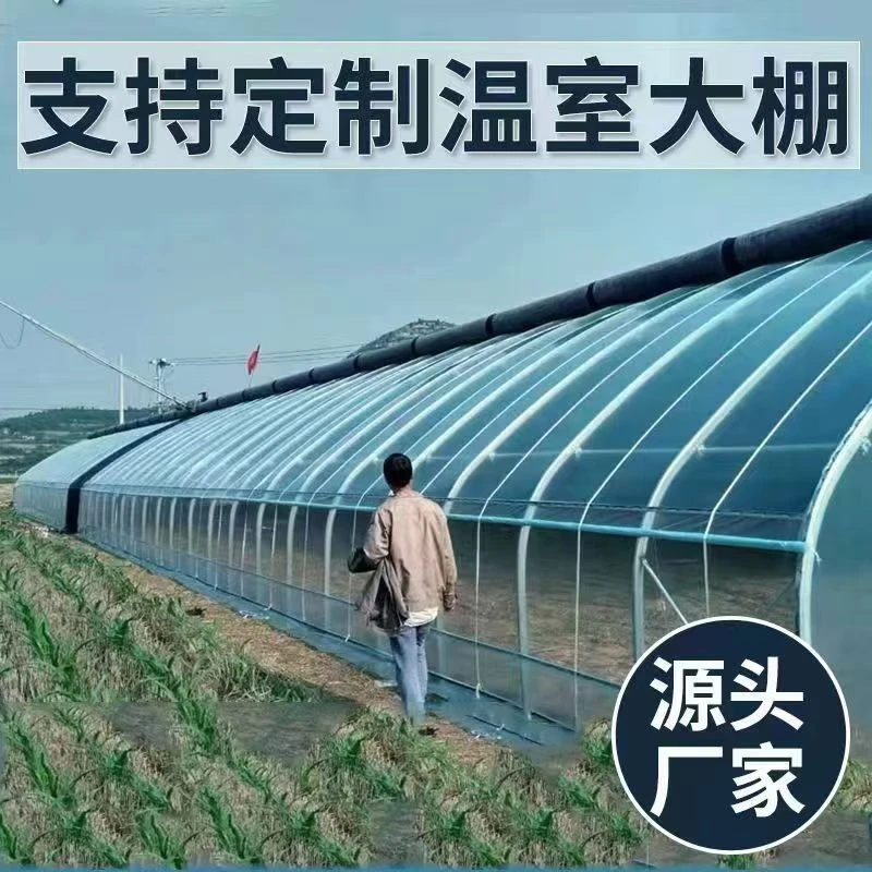 温室大棚全套钢管蔬菜大棚养殖大棚猪棚牛棚羊棚家用简易椭圆连体