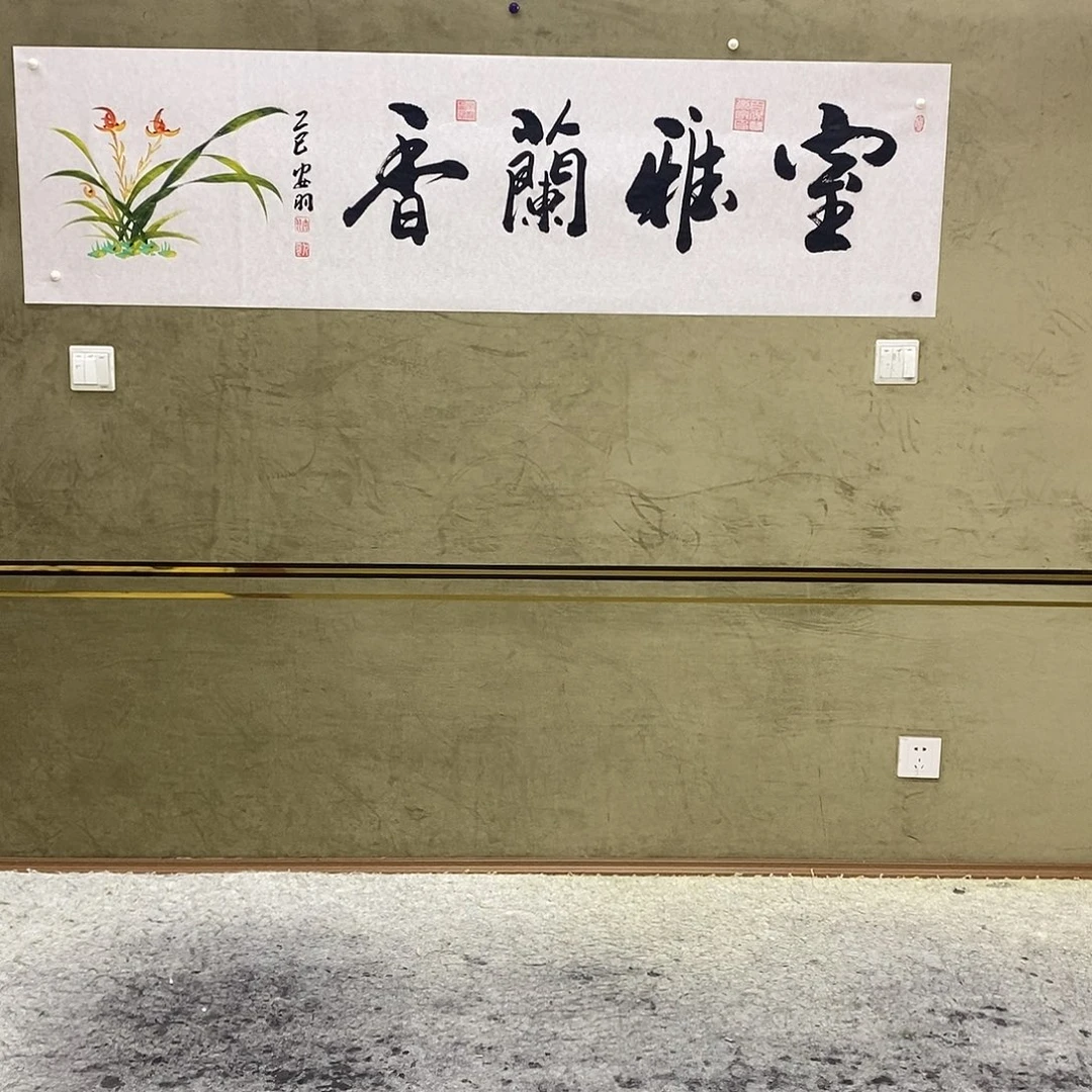 书法书画888888888