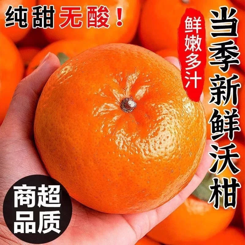 【超甜爆汁】云南正宗新鲜高山沃柑现摘超甜多汁应季水果柑桔橘子