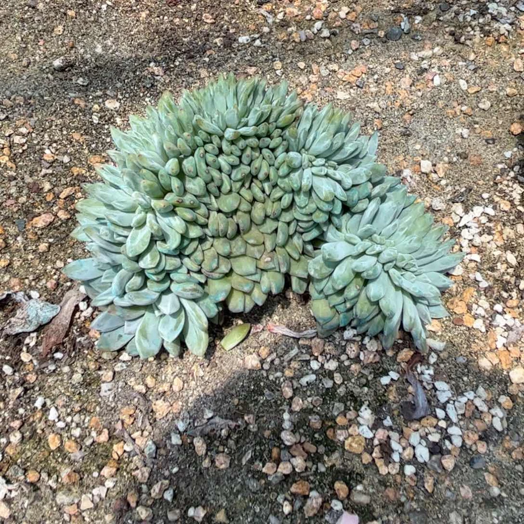 .*湘点点都没那么美