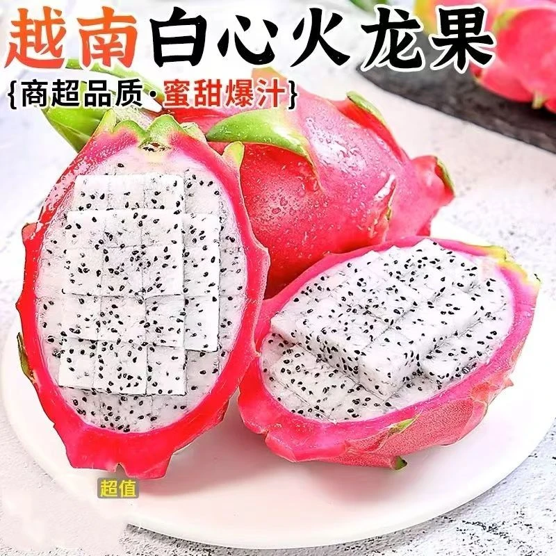 【坏果包赔】火龙果白心大果新鲜现摘水果小个批发小果薄皮