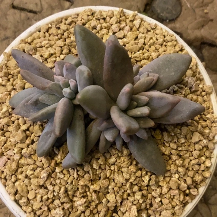 吃****888888888888888888