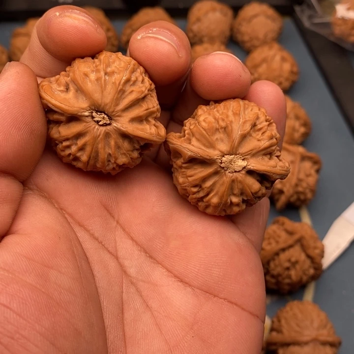 文玩核桃把件钛****土宫灯