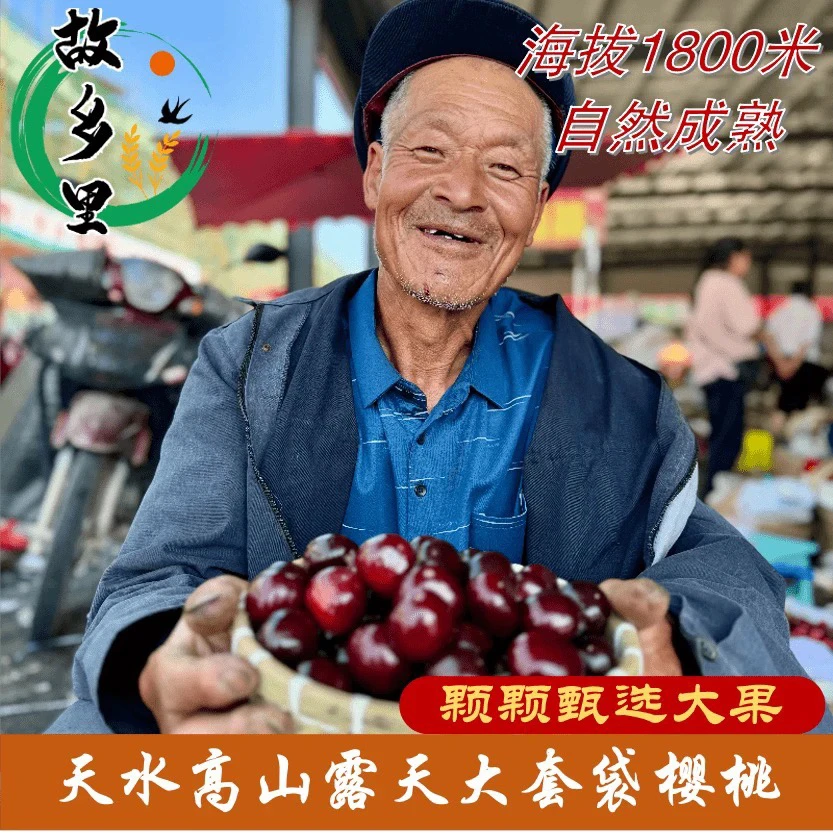 套袋胜利2斤4斤装天水大樱桃乌克兰3号晚熟黑车应季新鲜航空冷链