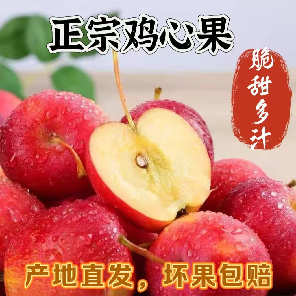 【橙】正宗东北鸡心果锦绣海棠脆甜多汁头茬鲜果现摘现发