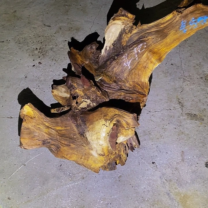 楠木（金丝楠）其他?****?