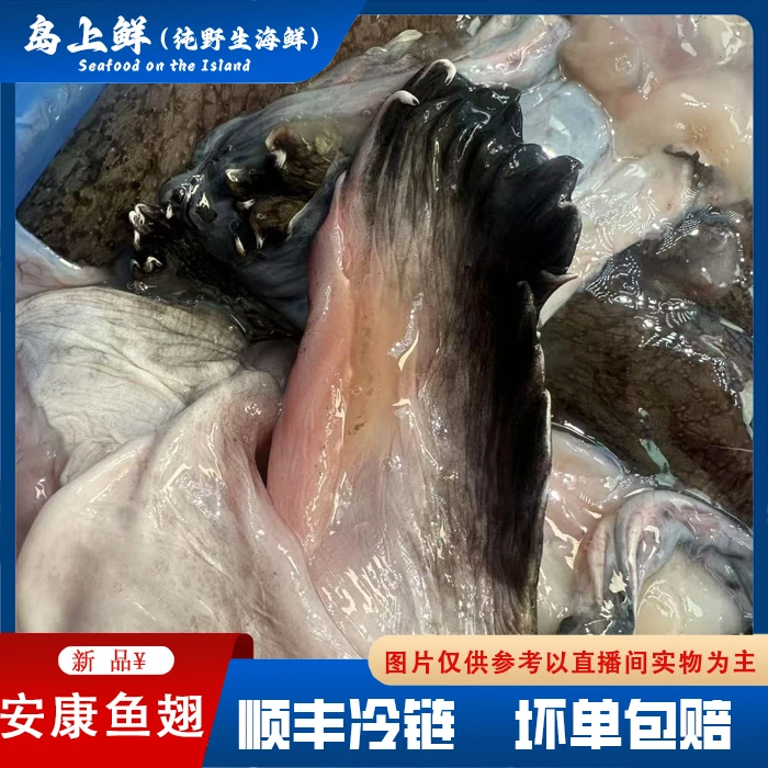 【纯野生-安康鱼翅膀】酱焖红烧都可以，翅膀中间有皮连着