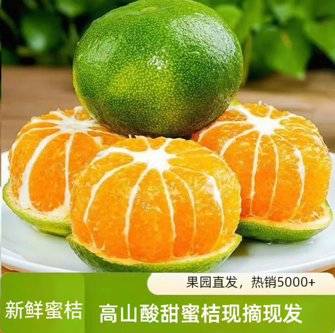 临海涌泉青皮蜜桔薄皮多汁酸甜爽口当季现摘水果橘子