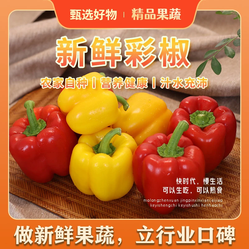 精选生鲜彩椒新鲜寿光现摘现发