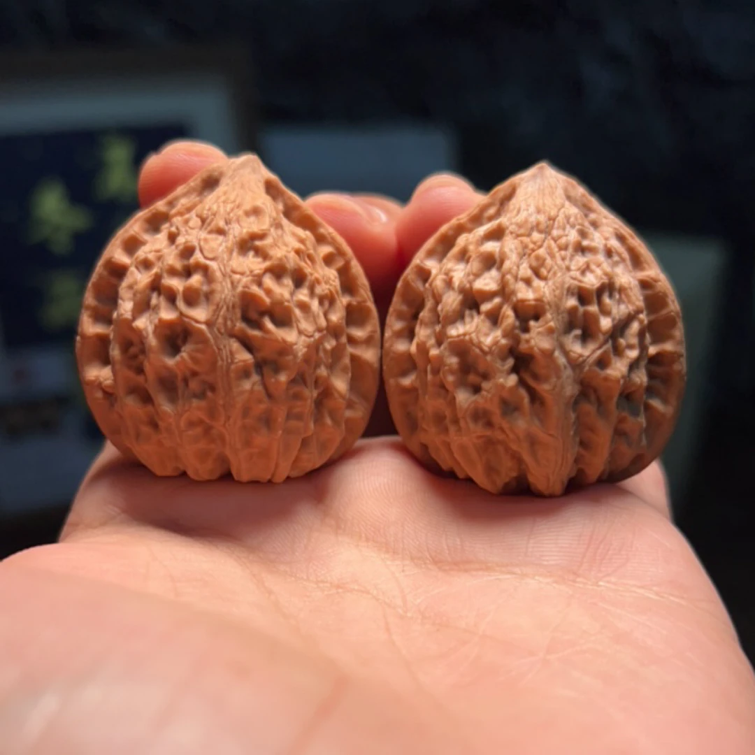 文玩核桃 仙台公子帽 4641号 39尺寸