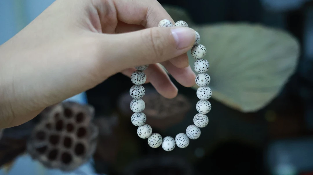 星月菩提大留白天然桶珠卡1.0 顺白单圈文玩七夕礼物A27