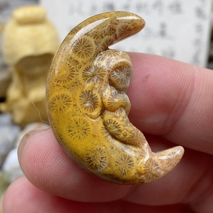 颈饰未镶嵌硅化珊瑚（珊瑚玉）小
