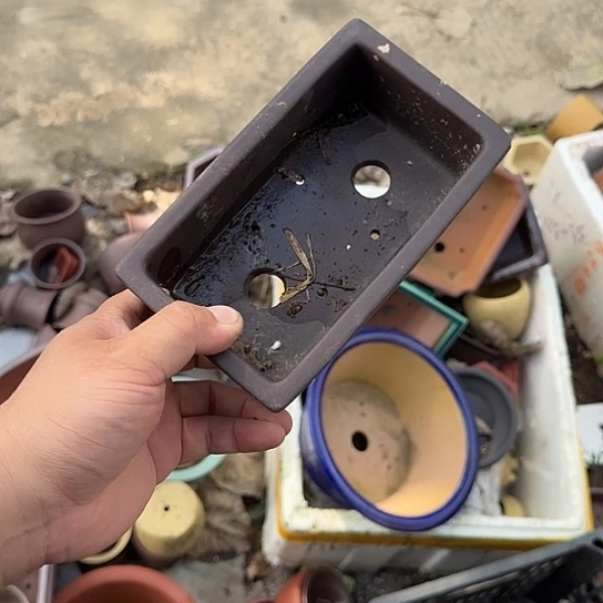 这几句真的好好啊哈哈好好听