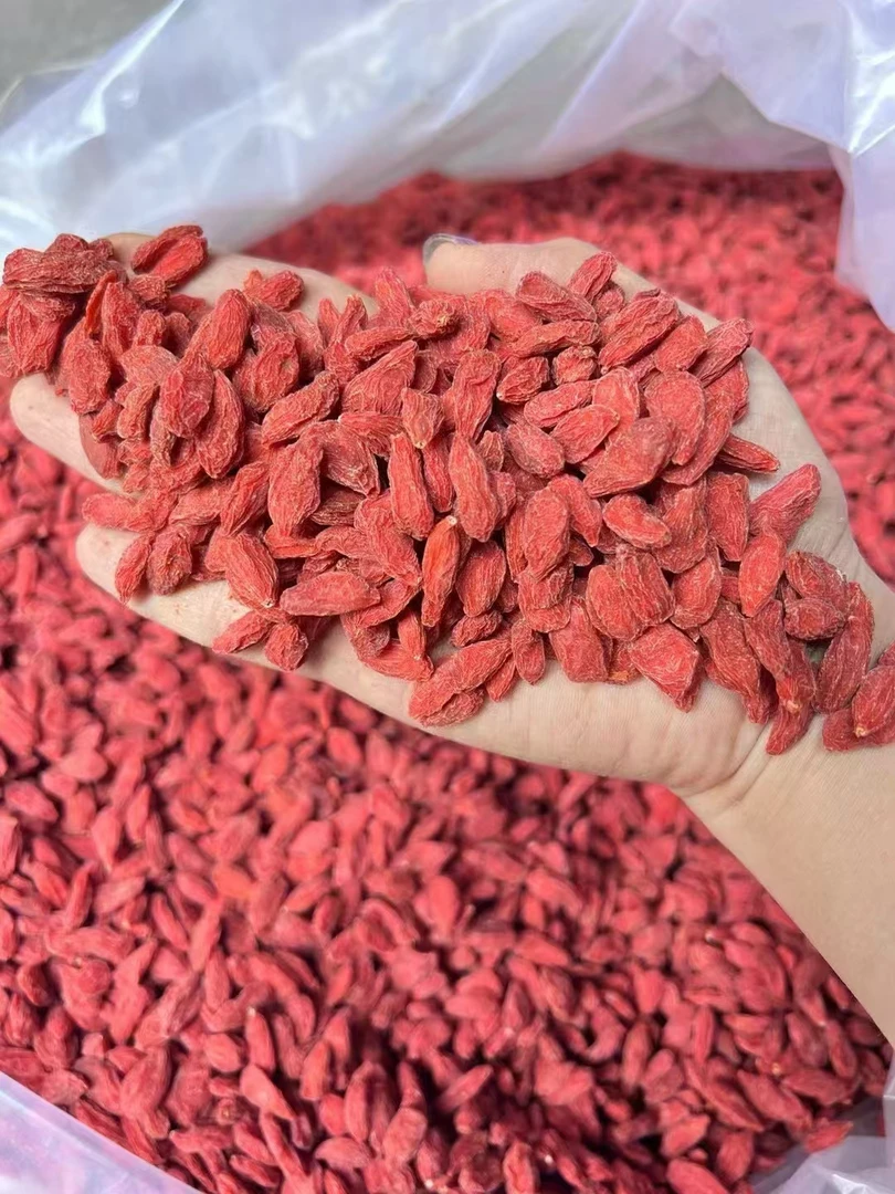 宁夏中宁枸杞子大果颗粒饱满天然晾晒免洗红枸杞