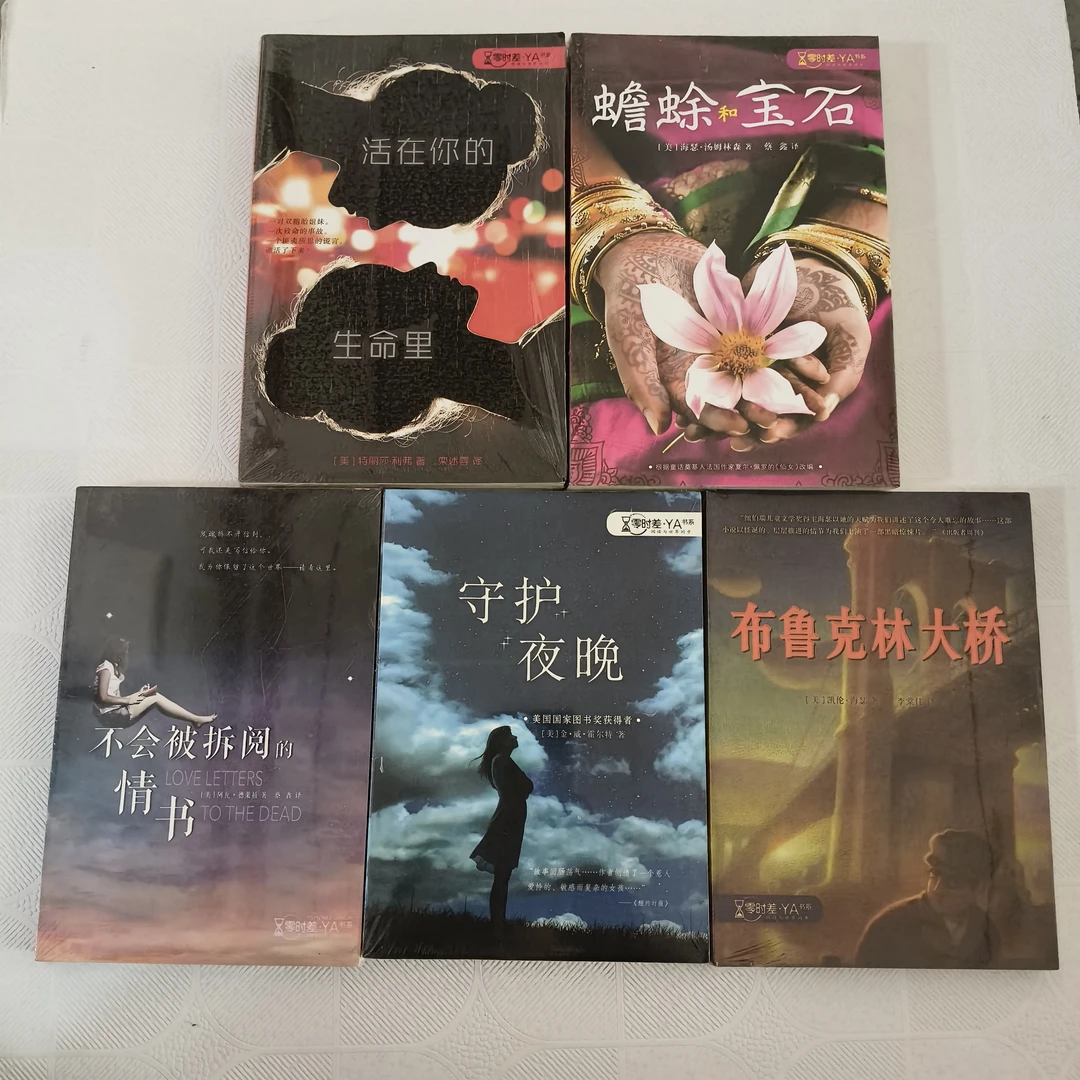 麦克米伦零时差YA书列5本