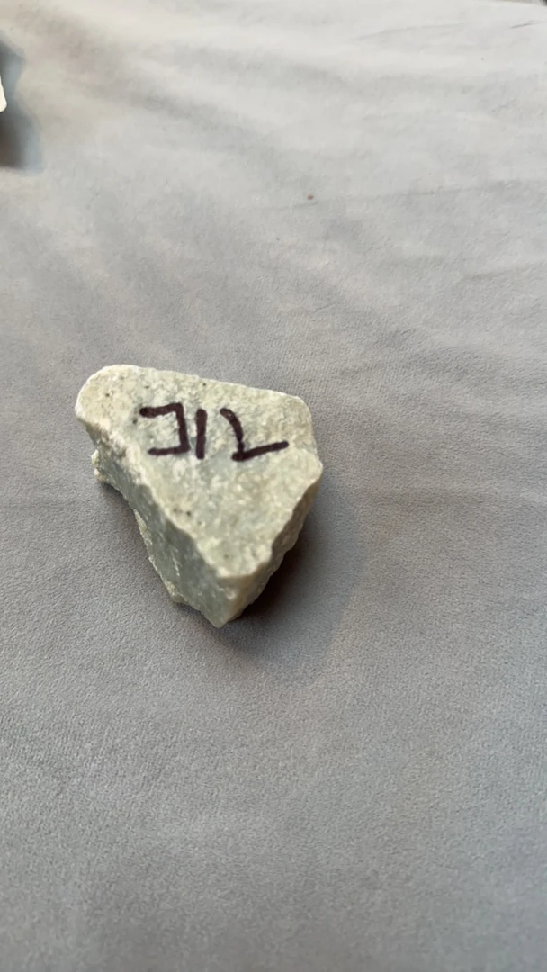 新疆且末料原石J12