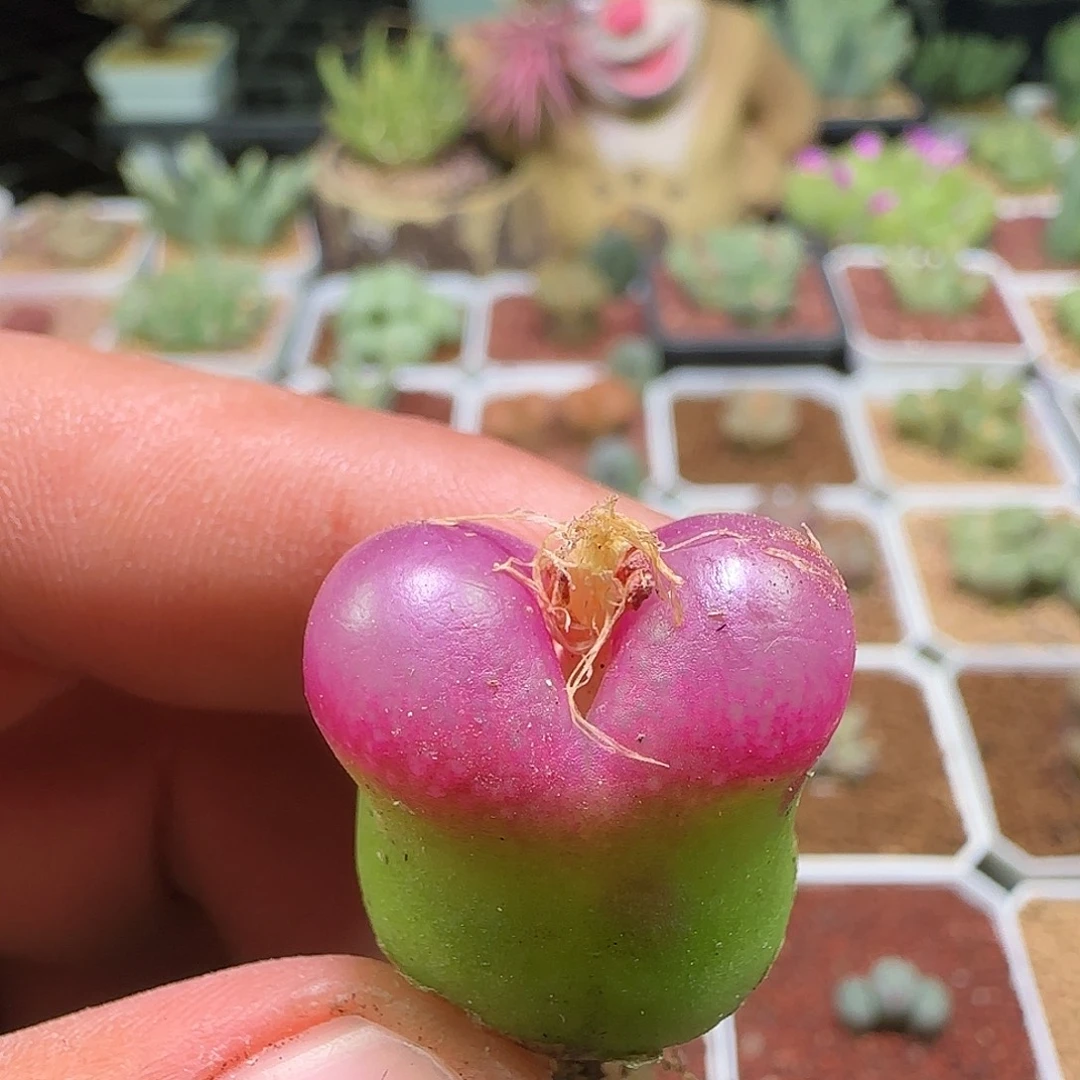 晨***浅静静静静静静静空间126