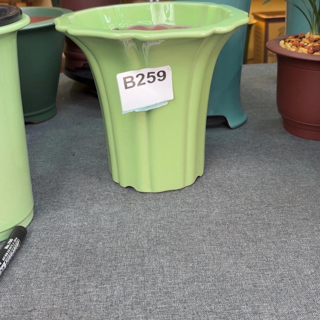 @****紫砂花盆兰花543468797978