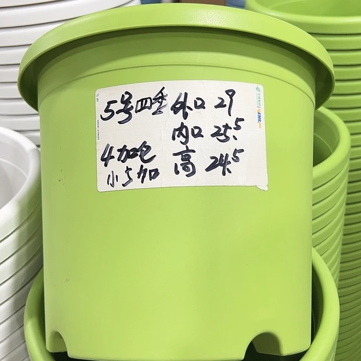 特价5号口29高24.5白色5只无托