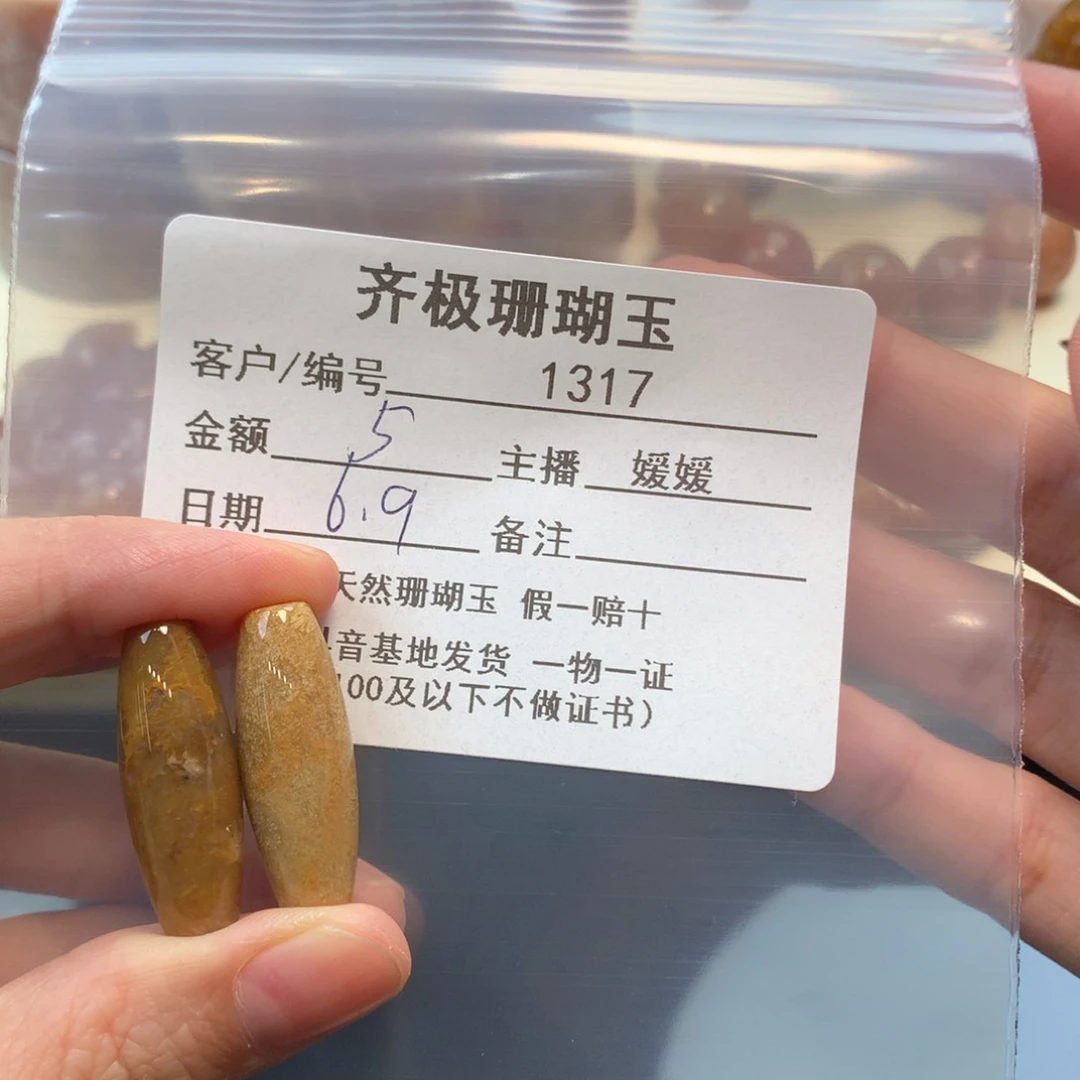 硅化珊瑚（珊瑚玉）未镶嵌颈饰哇***?