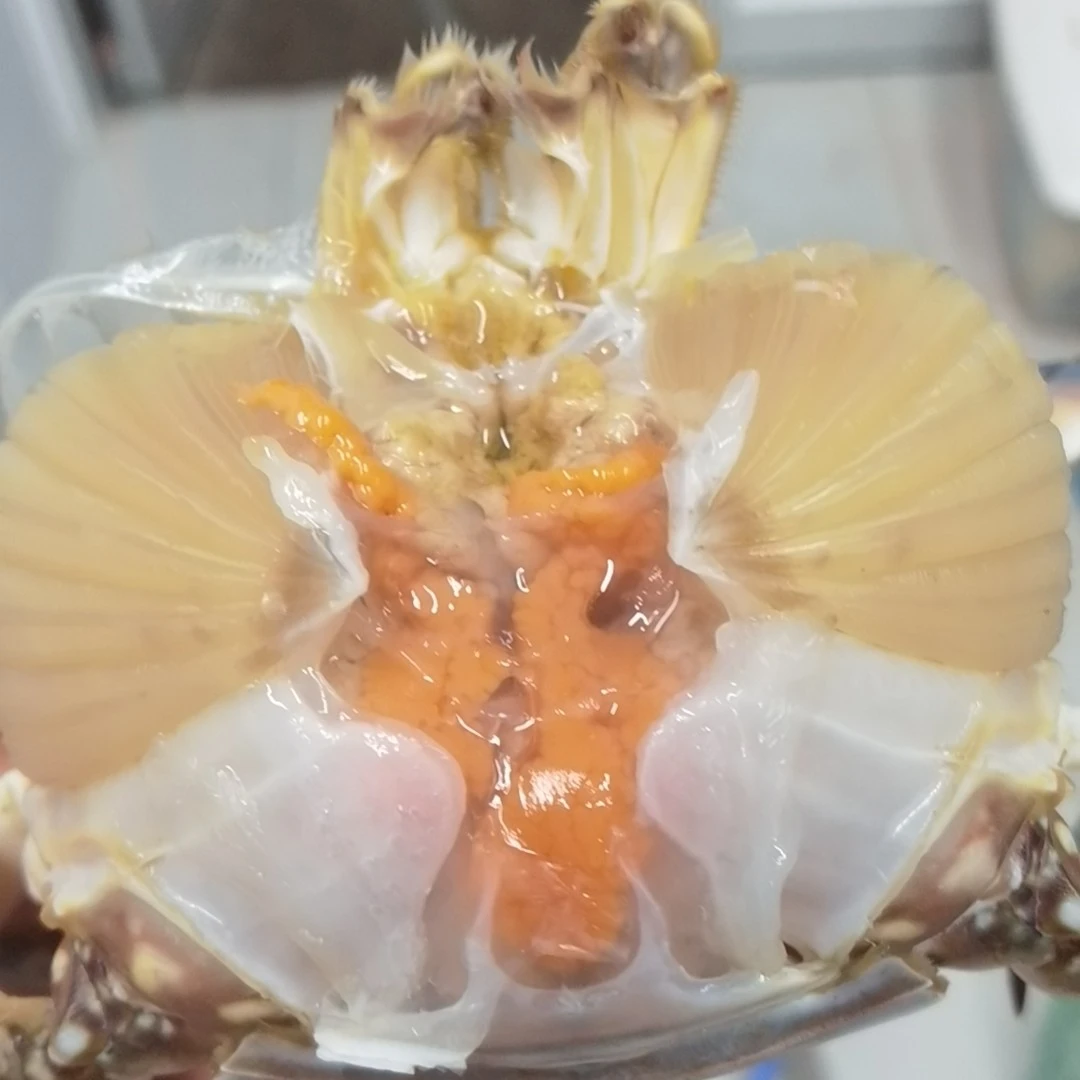 【保鲜不保活】掉爪残母蟹 单只5-7两