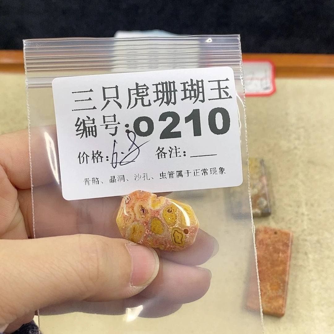 硅化珊瑚（珊瑚玉）1未镶嵌那**明